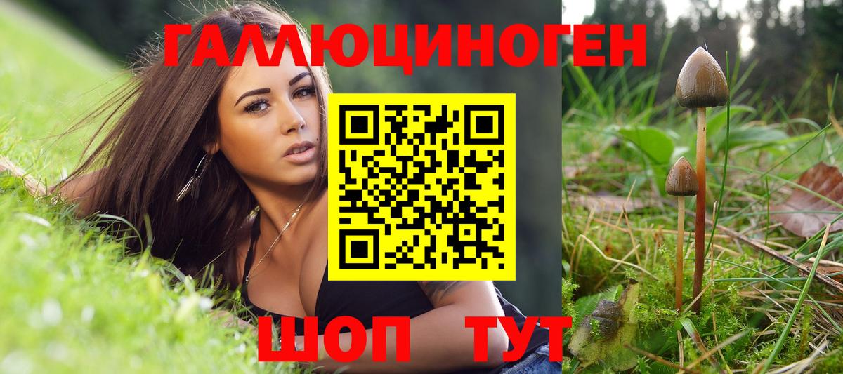 Псилоцибиновые грибы MAGIC MUSHROOMS Карпинск