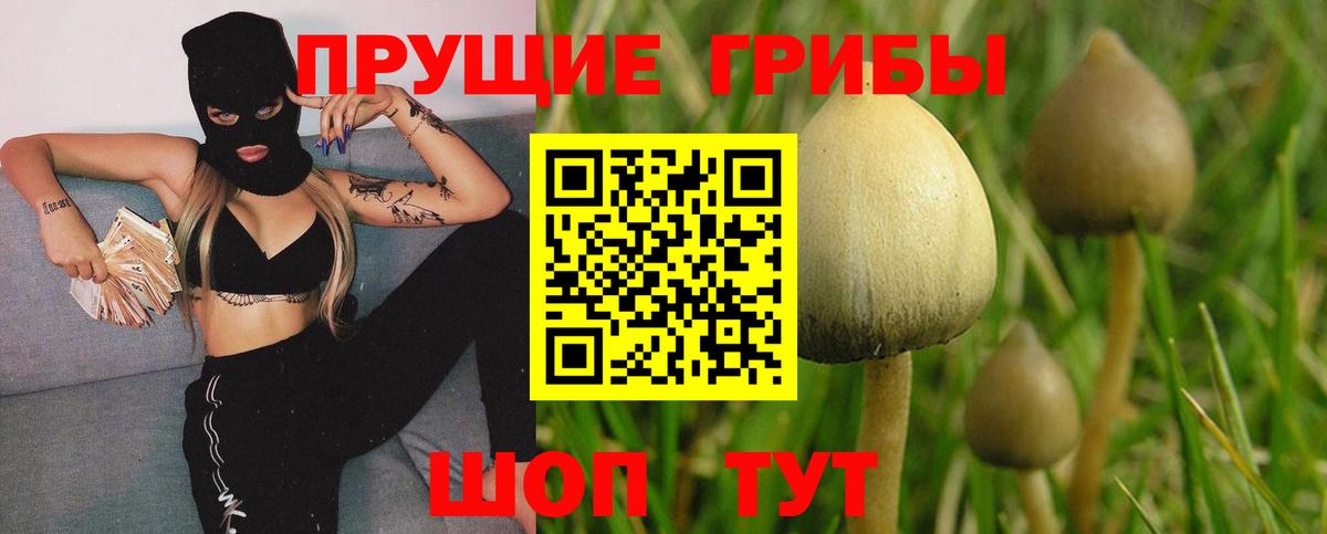 Псилоцибиновые грибы Cubensis  Вход с VPN  цена наркотик  Псилоцибиновые грибы прущие грибы  Карпинск 